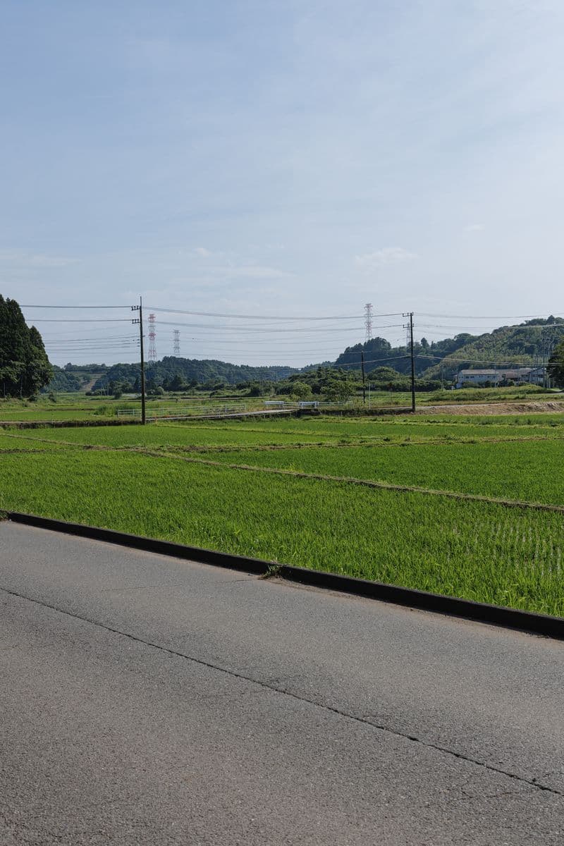 Green rice paddies and low hills seen from the road outside